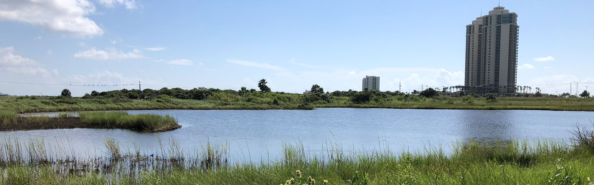 Appfel Park Road Pond