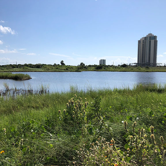 Appfel Park Road Pond