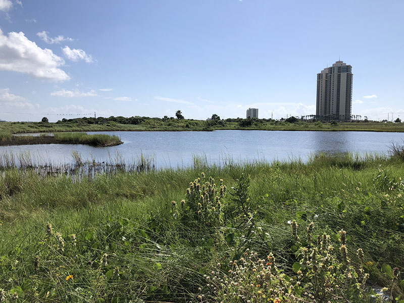 Appfel Park Road Pond