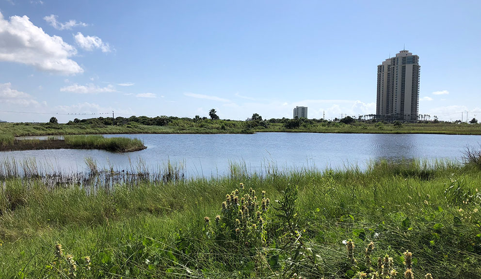 Appfel Park Road Pond