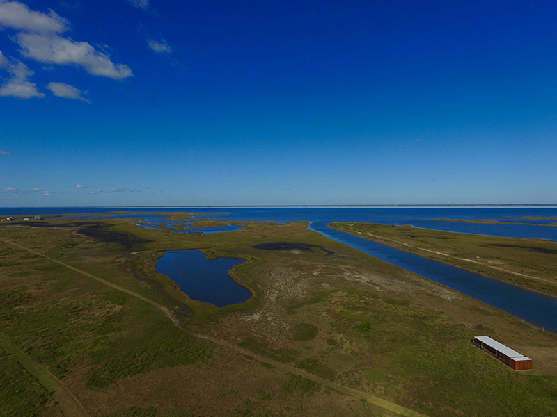 airboat tours houston