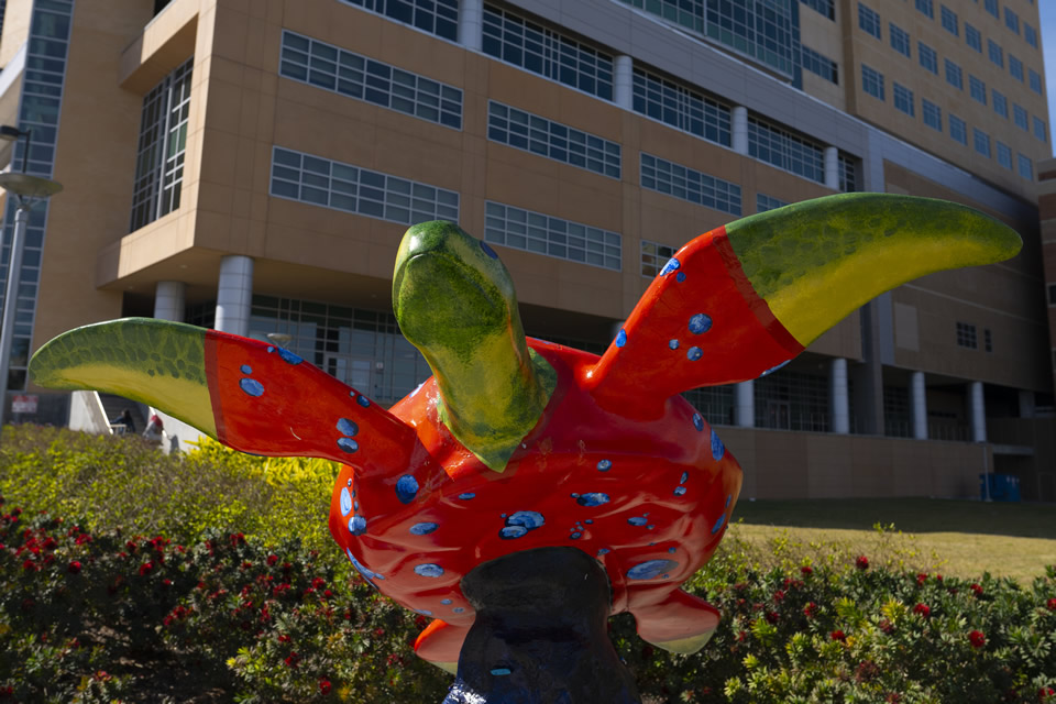 Dr. Tommie Tortuga Dr. Tommie Tortuga