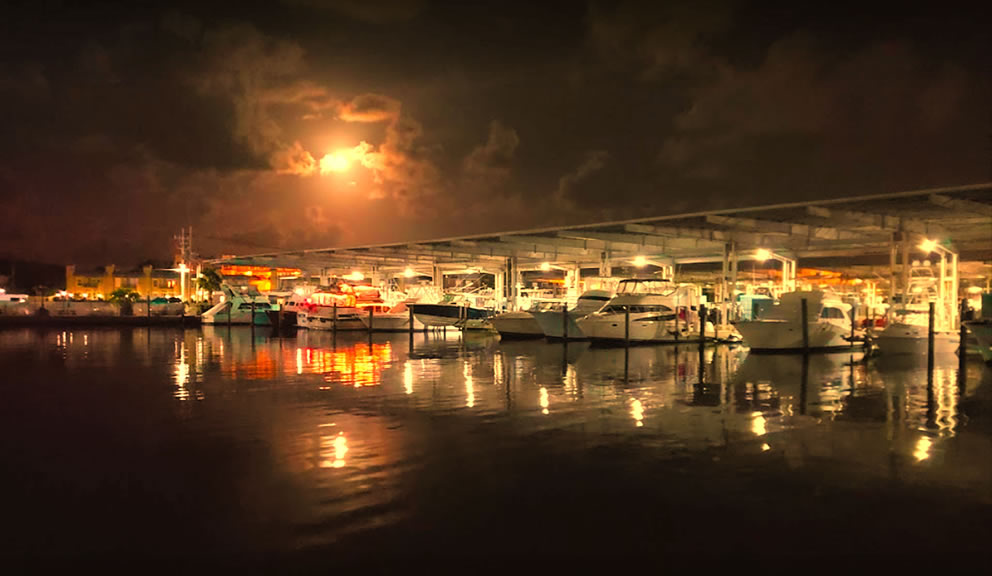 Galveston Yacht Basin Marina, Galveston TX