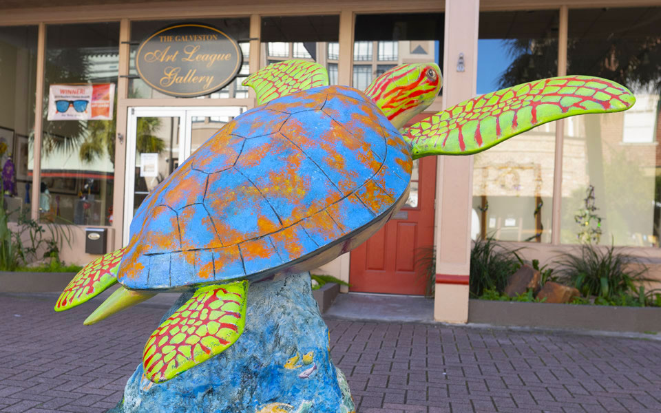 Sargasso Susan The Turtle Sargasso Susan The Turtle