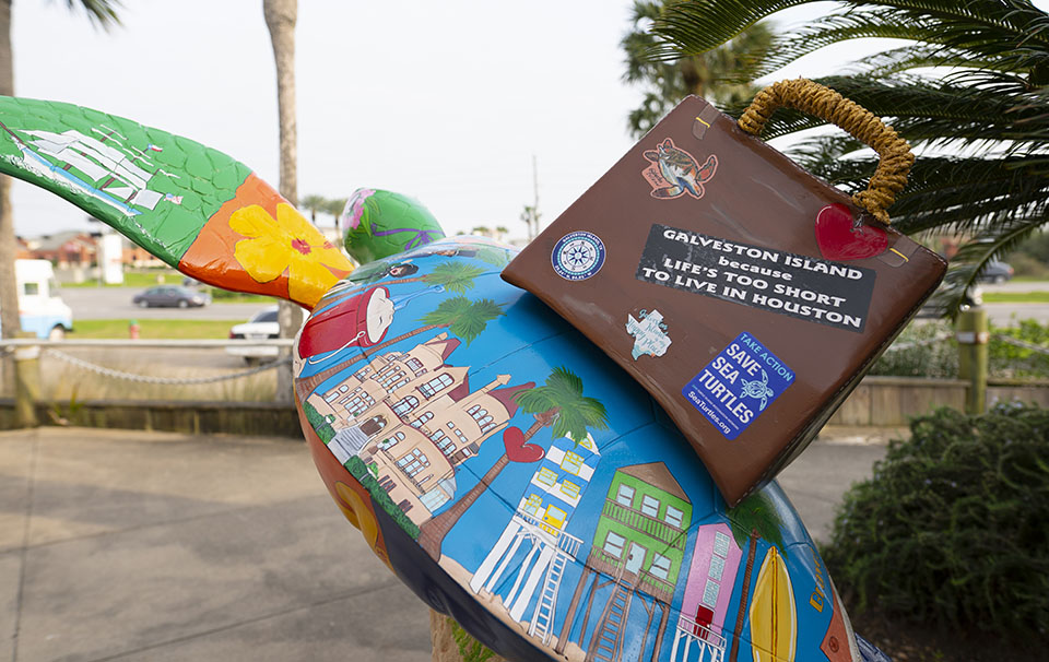 Shelly Sanderson Turtle Sculpture at Sand n Sea