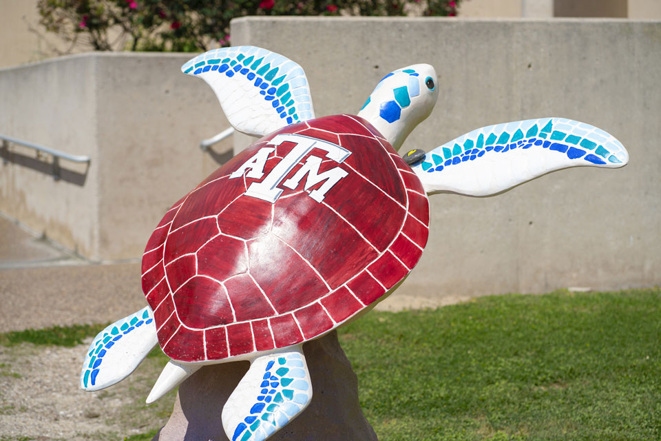 Spirit of the Sea Aggieland