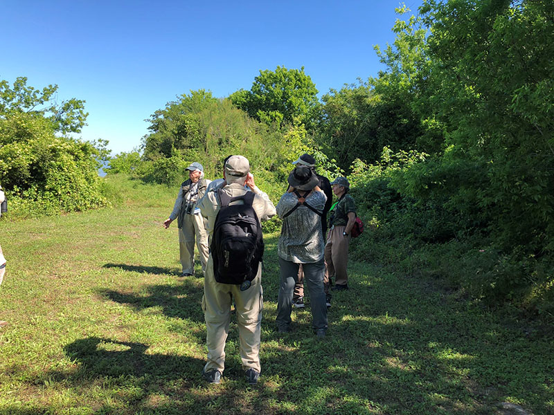 Texas AM Wetlands Trail