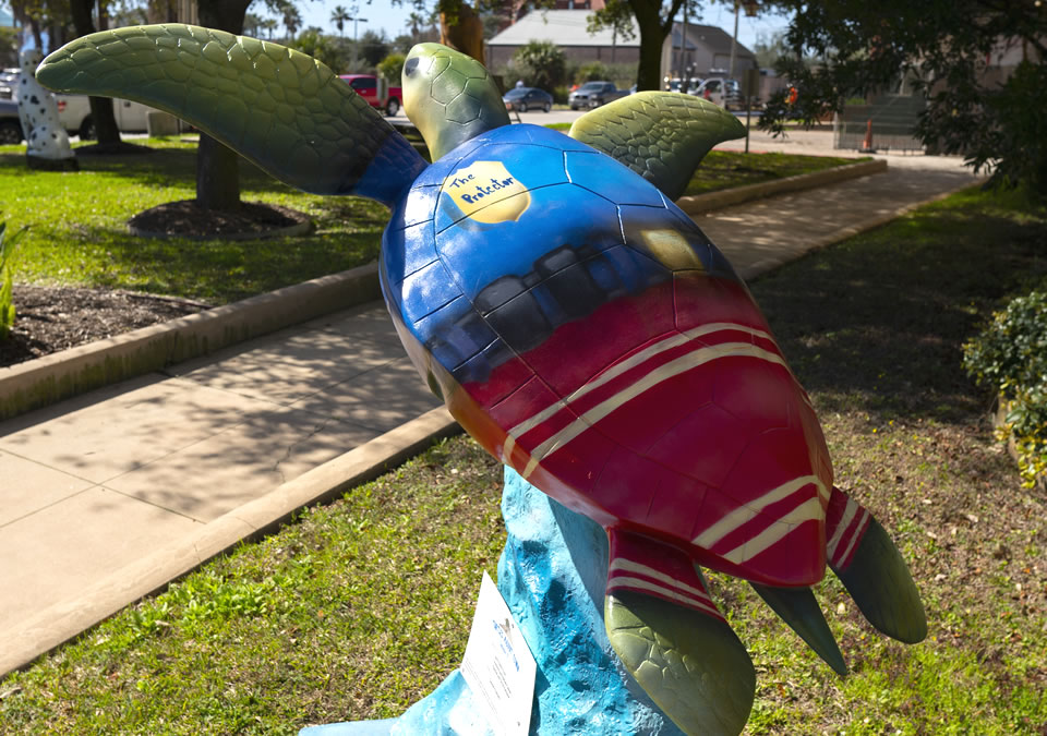 The Protector Turtle The Protector Turtle