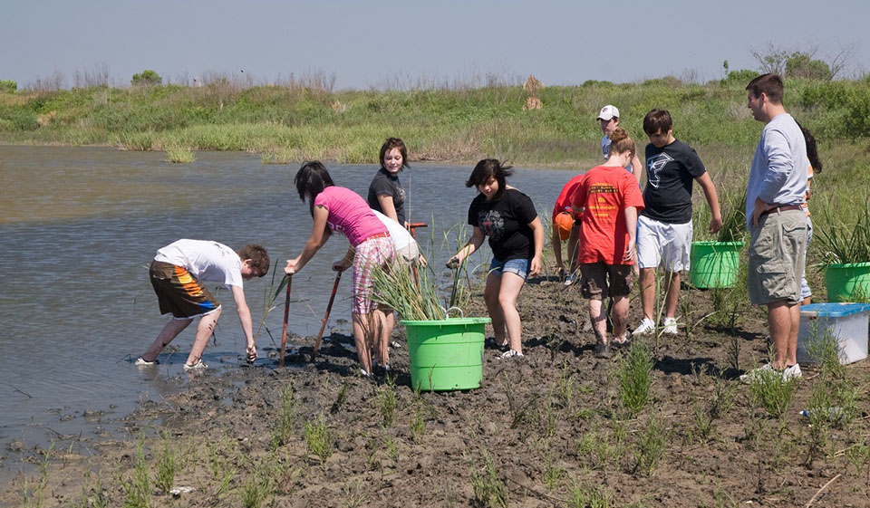 Volunteers Planting at Coastal Heritage Preserve