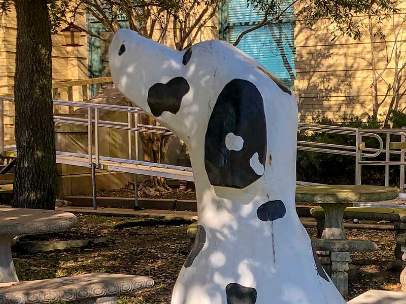 Dalmation Tree Sculpture Featured Image