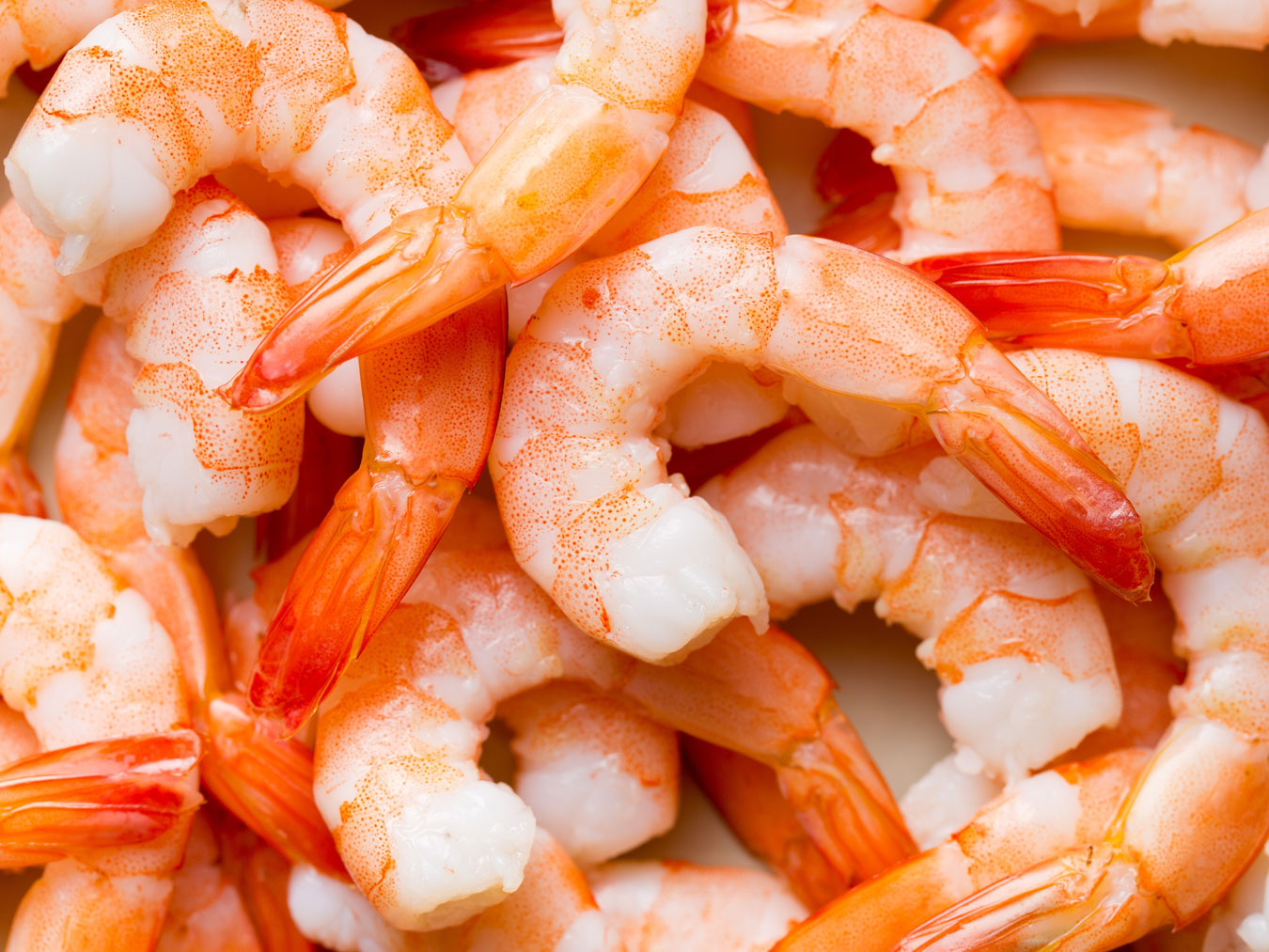 boiled shrimp