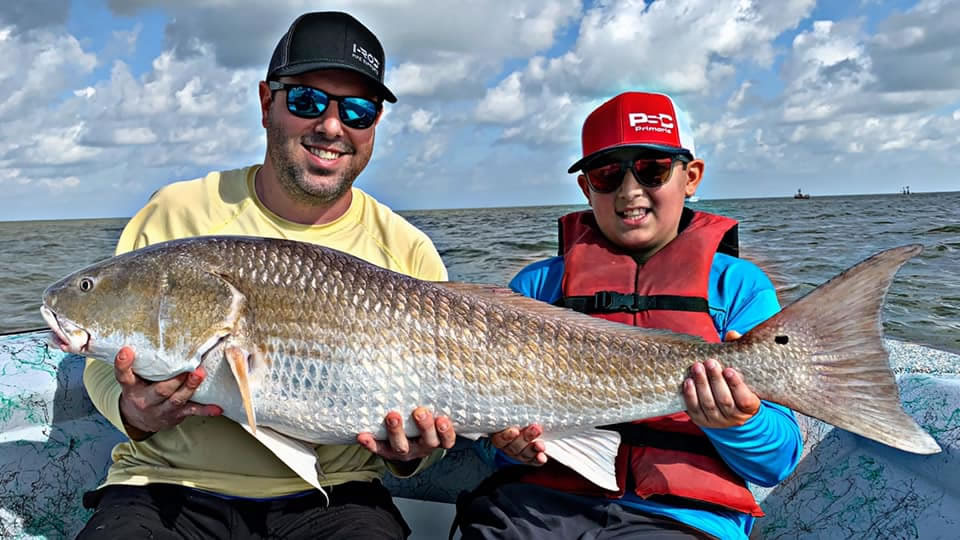 Bull Redfish Bull Redfish