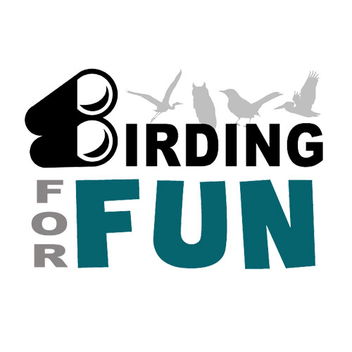 Birding for Fun