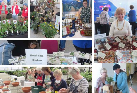 Friends of Moody Gardens Herb Fair