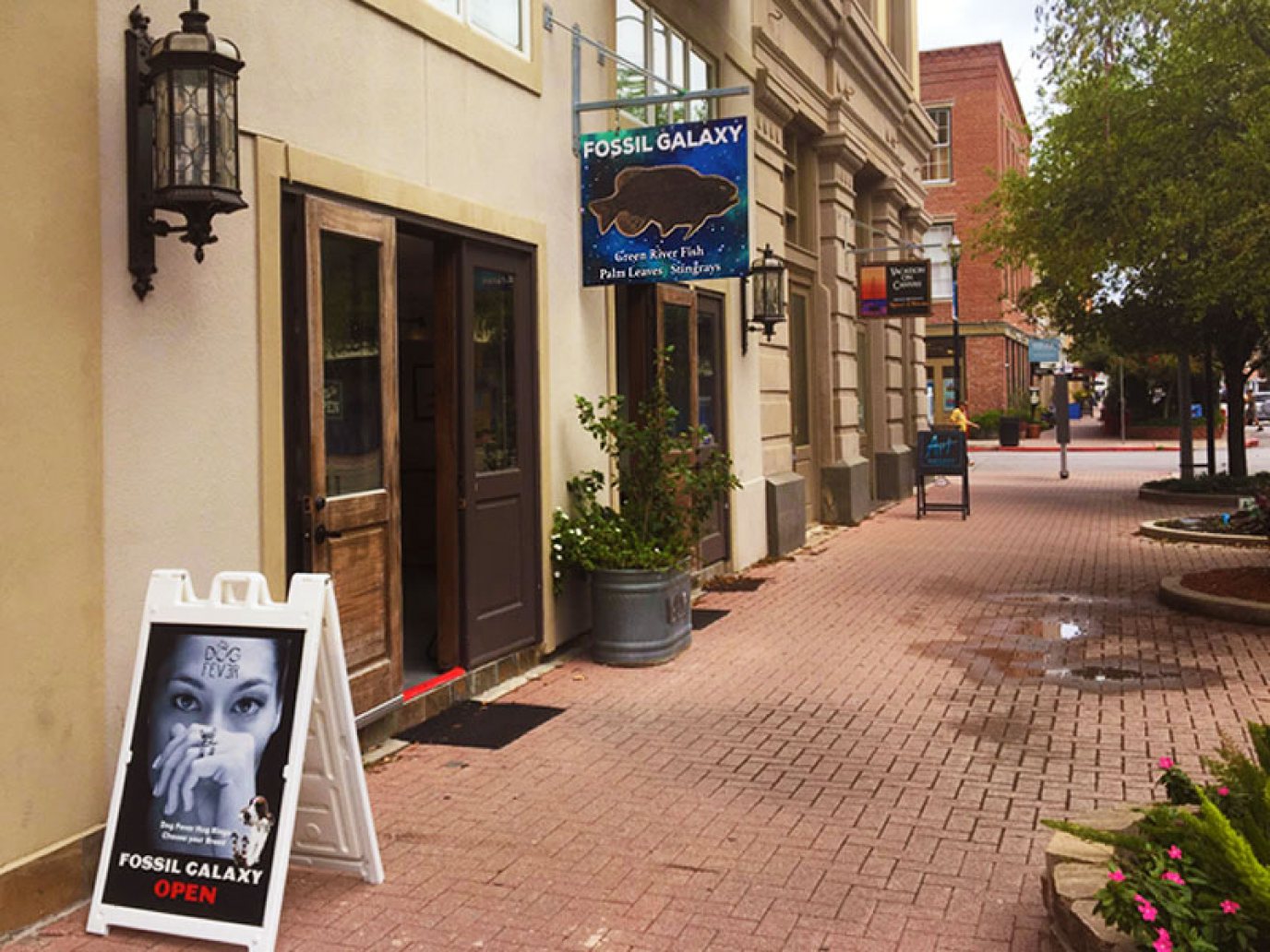 Art Galleries Galveston, TX