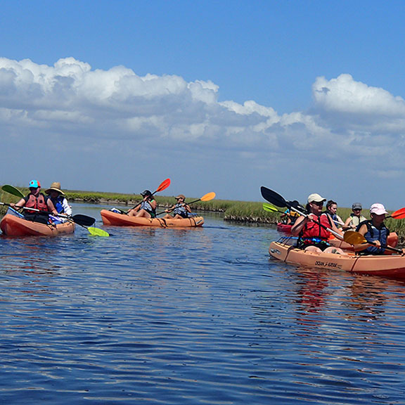 galveston.com: artist boat kayak adventures return