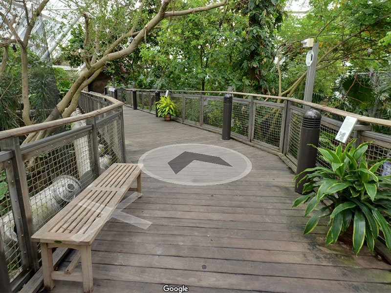 GALVESTON.COM: Explore The Rainforest at Moody Gardens ...