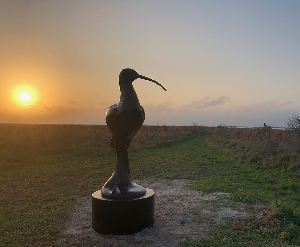 Eskimo Curlew at Sunset