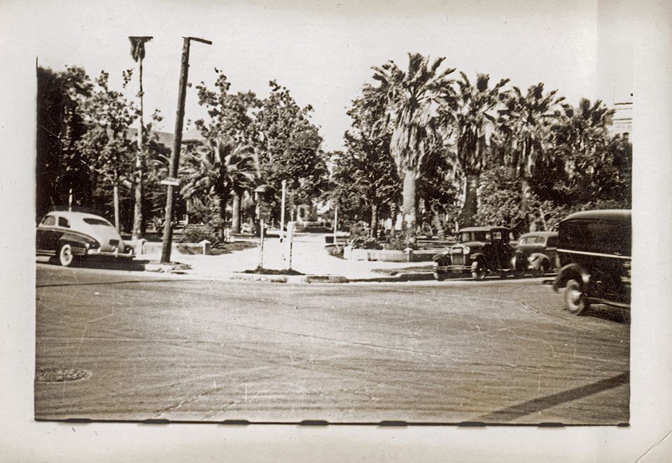 Palm Trees on Broadway in 1943 Palm Trees on Broadway in 1943