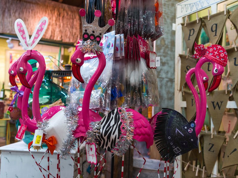 How to Spread Your Wings on Galveston Island Galveston, TX