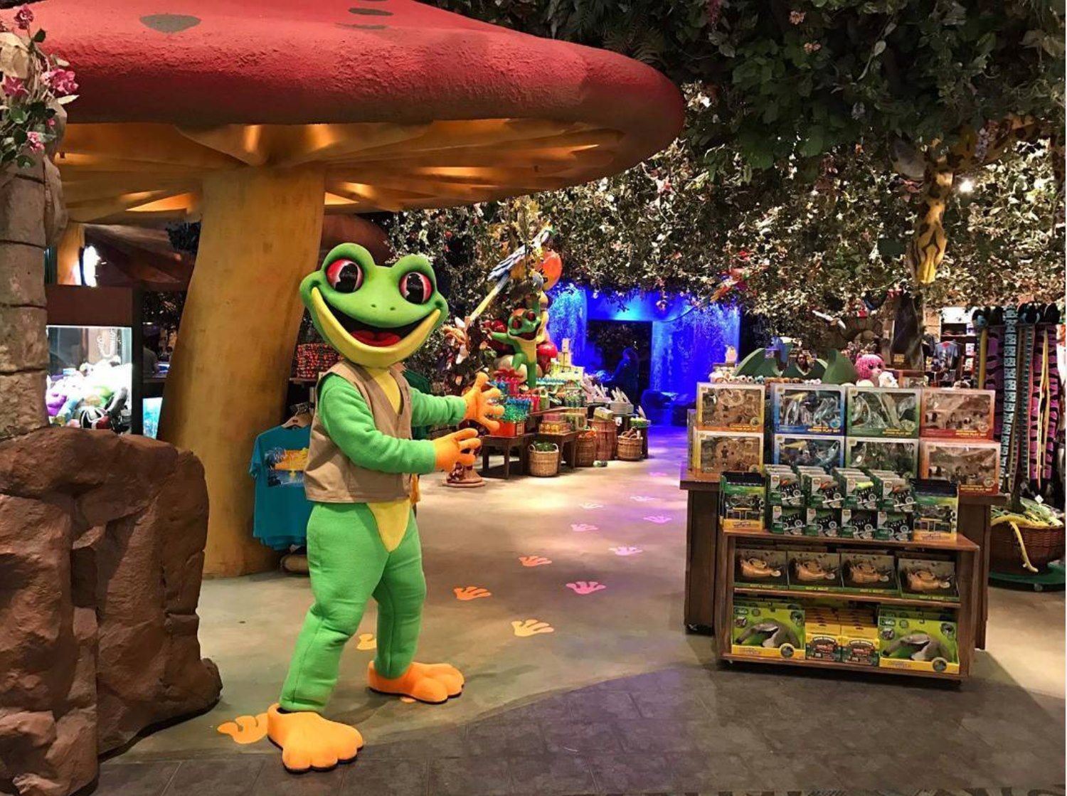 Galvestoncom Rainforest Cafe Galveston Tx