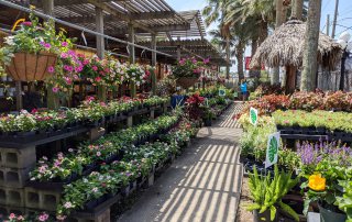 Tom's Thumb Nursery, Landscaping and Boutique