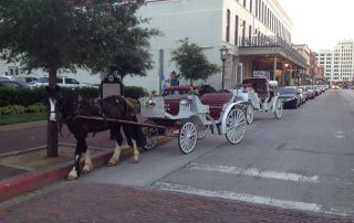 Island Carriages