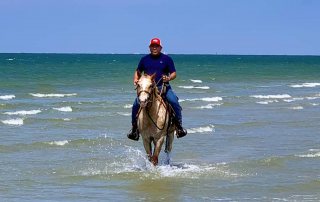 Galveston Island Horse and Pony Rides