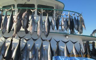 Galveston Party Boats