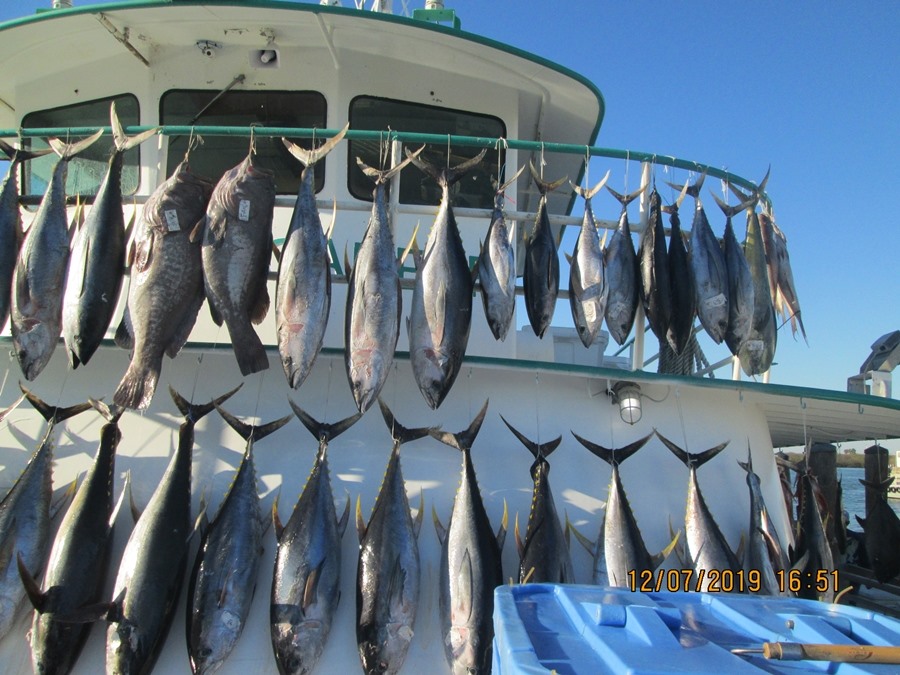 party boat cruise galveston