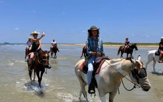 Galveston Island Horse and Pony Rides