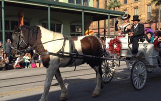 Island Carriages