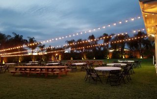 Galveston Island Palms Outdoor Events & Parties