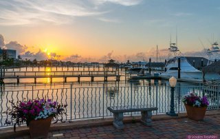 Pelican Rest Marina