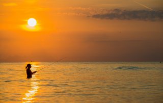 Galveston Island State Park