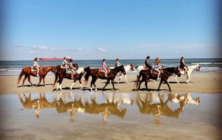 Galveston Island Horse and Pony Rides