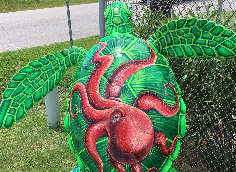 Bubbles – Turtle About Town Bubbles - Turtle About Town