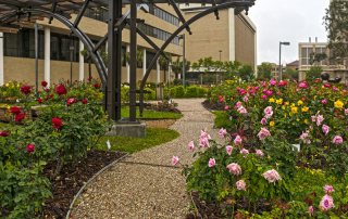 The University of Texas Medical Branch