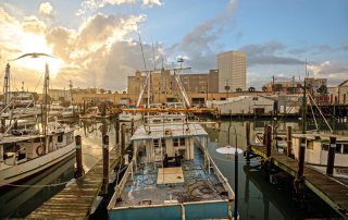 Fishing Boats Near Downtown