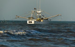 Galveston Shrimp Boat