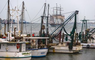 Tall Ship ELISSA & Fishing Boats