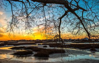 Sunset Over the Wetlands