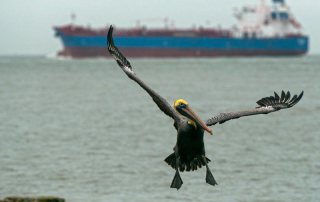 Tanker Arriving to Port of Galveston