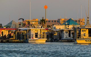 Moody Gardens Hotel, Spa and Convention Center