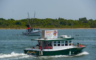 Baywatch Dolphin Tours