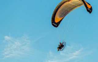 Soaring Over the Gulf