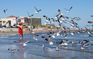 Galveston Island Convention Center