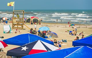 A Summer Day at the Beach