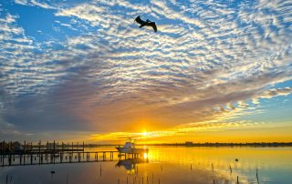 Last Flight Before Sunset