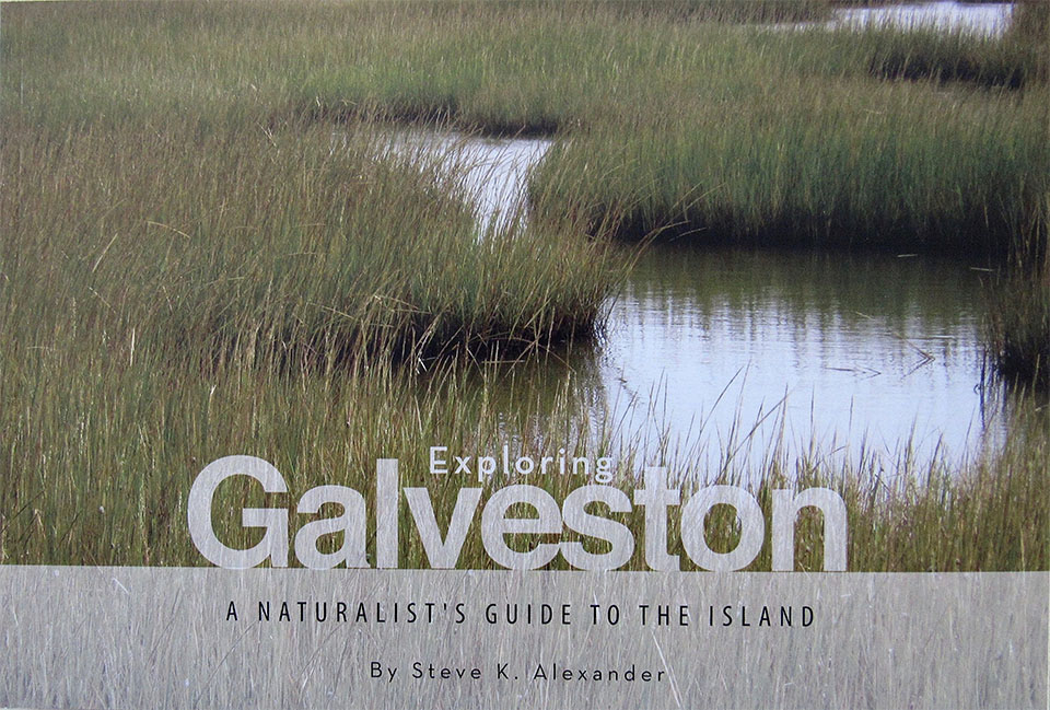 Exploring Galveston Book by Steve Alexander